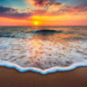 Meet your Posher, Brit